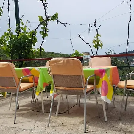 Bodul Vacation * Zaton (Dubrovnik-Neretva)