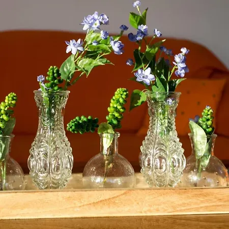 Bodul Vacation Apartman